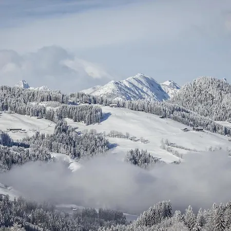 Alpengondel - Balcony & Mountain View