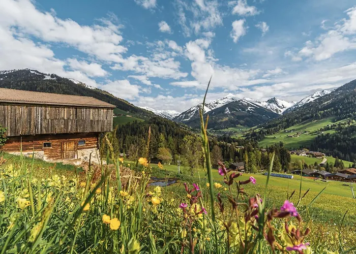 Alpengondel - Alpenluxus Collection Apartment *